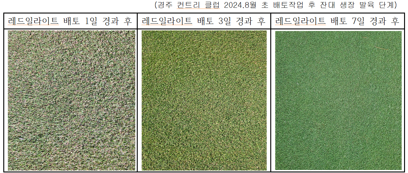 화면 캡처 2024-08-25 080614.png